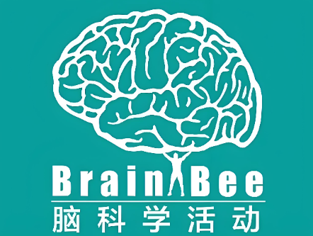 犀牛国际教育