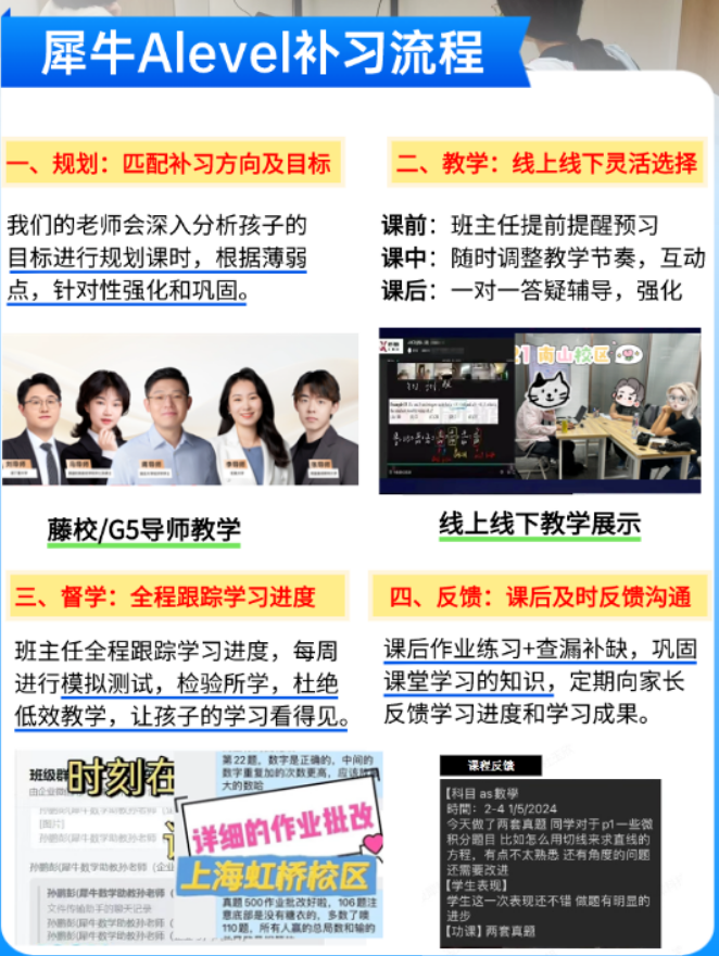 alevel培训辅导
