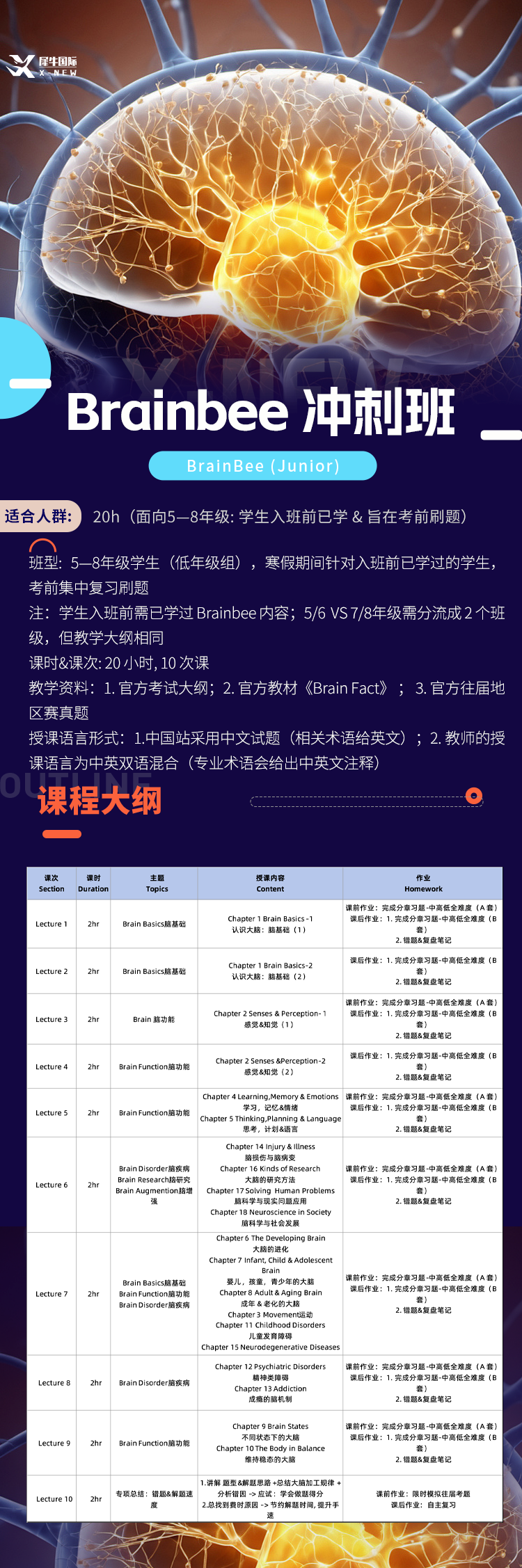 Brainbee脑科学竞赛辅导