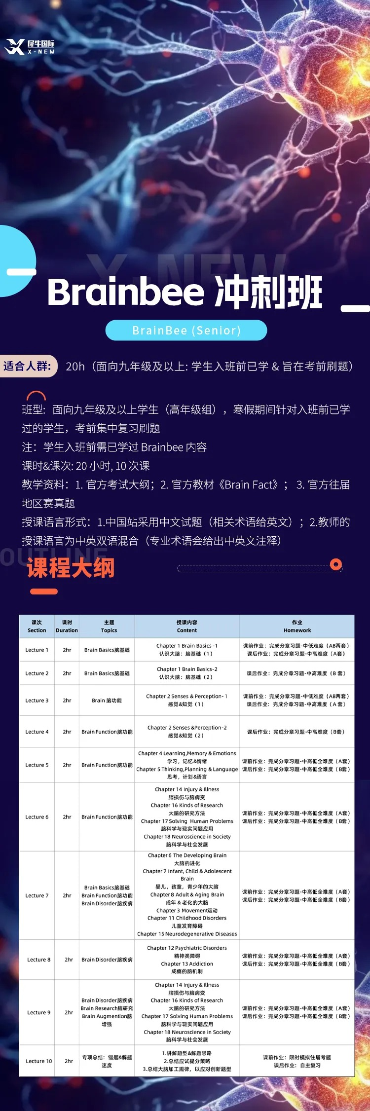 Brainbee竞赛培训