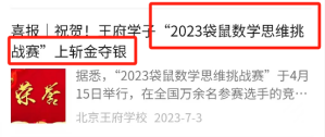 袋鼠数学竞赛