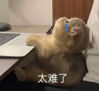 犀牛AMC8数学竞赛培训