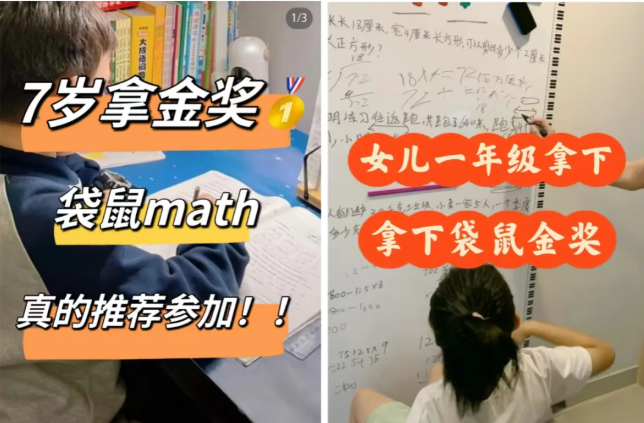 袋鼠数学竞赛含金量