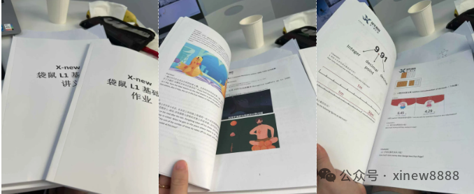 袋鼠数学竞赛