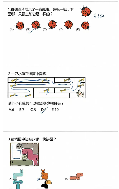袋鼠数学竞赛