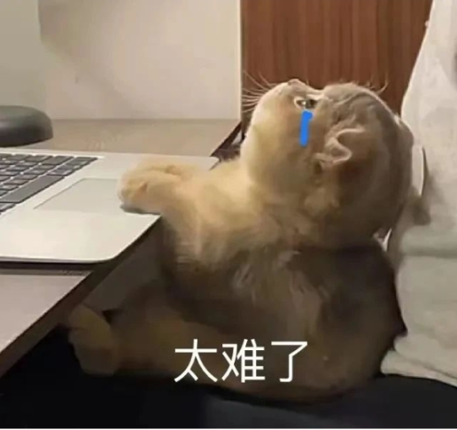 犀牛ALevel培训