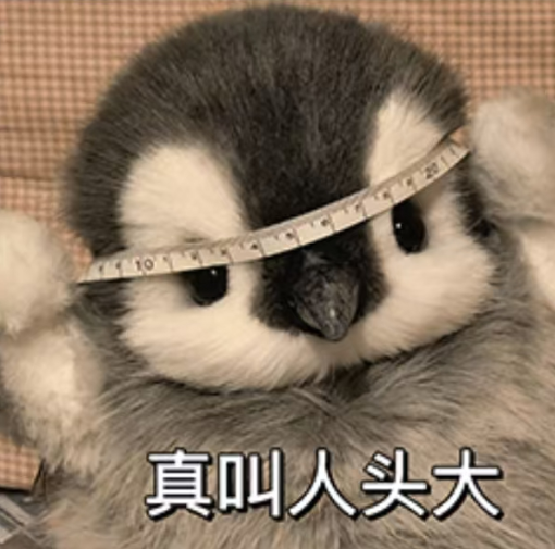 犀牛IGCSE暑期先修培训课程