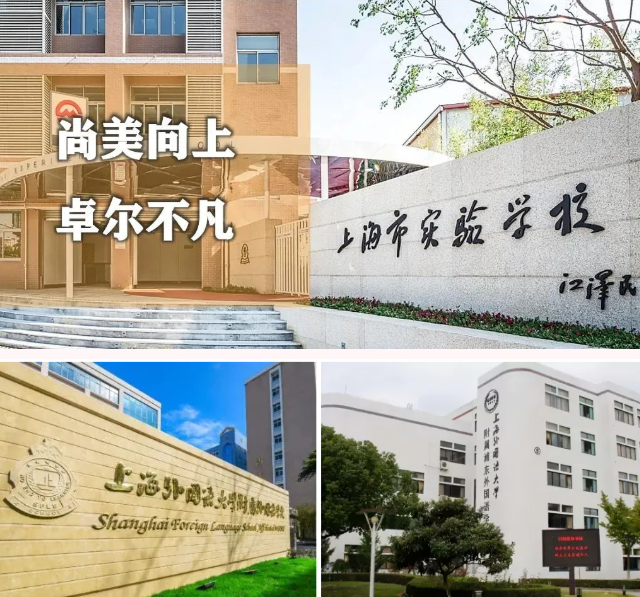 上海三公规划培训
