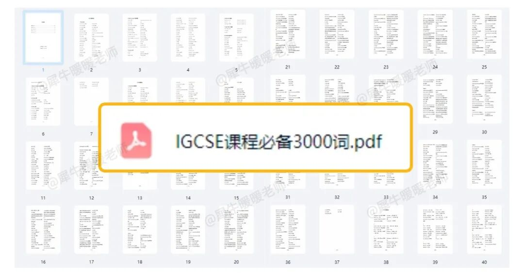 IGCSE课程