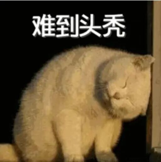 犀牛AMC8数学竞赛培训课程