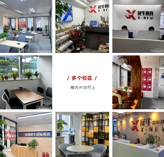 犀牛USACO培训