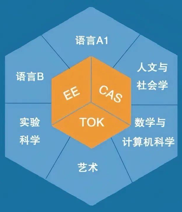 犀牛国际教育