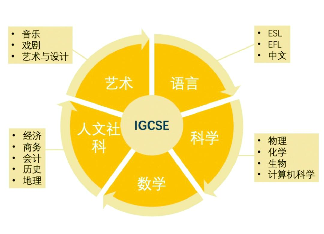 犀牛国际教育