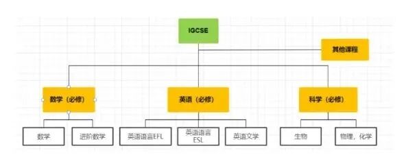 犀牛国际教育