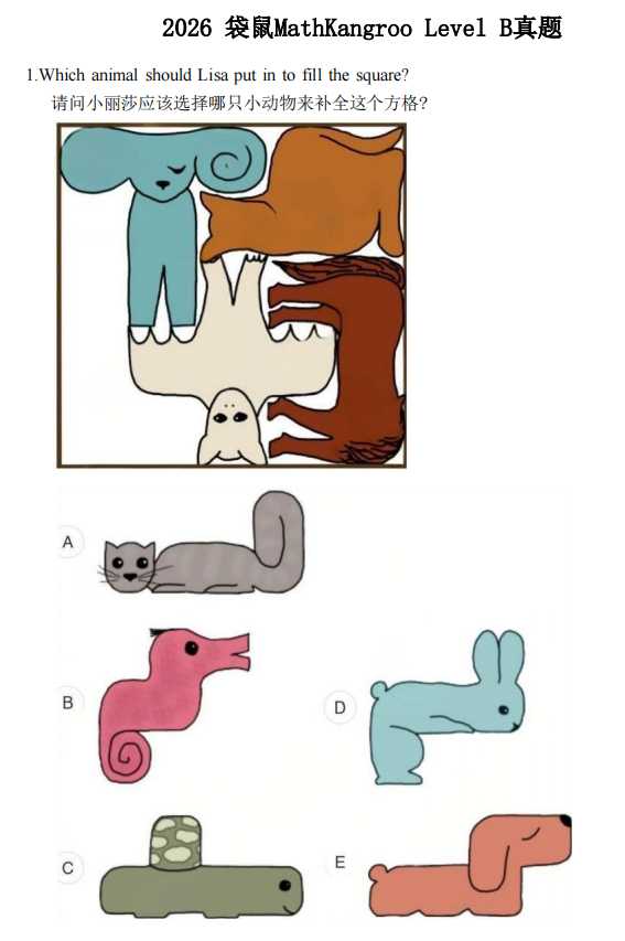 袋鼠数学竞赛