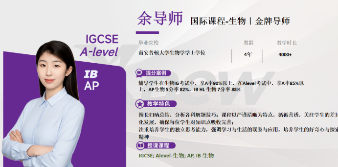 IGCSE暑假班
