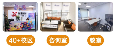 犀牛教育AMC/BPhO/USACO课表