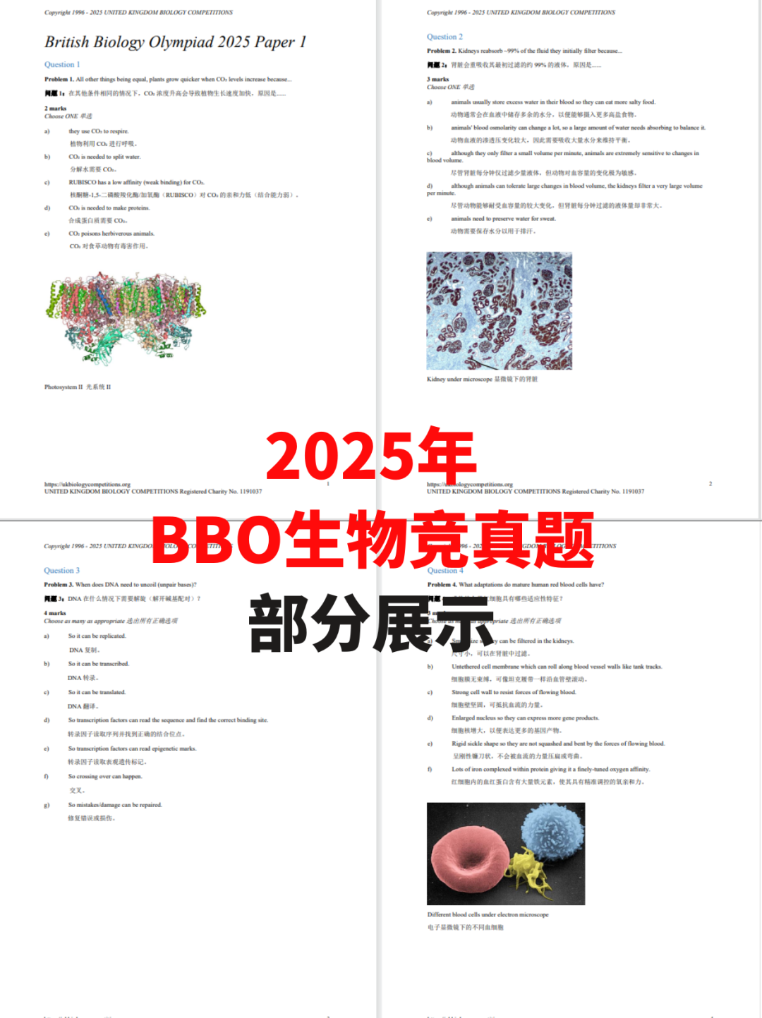 BBO生物竞赛真题解析