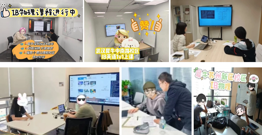 犀牛国际教育全国学校地址,犀牛国际教育徐汇校区,犀牛国际教育总部,