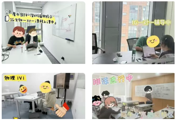 IGCSE课程辅导