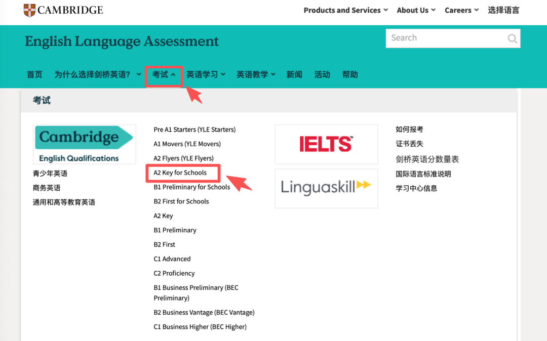 犀牛国际教育