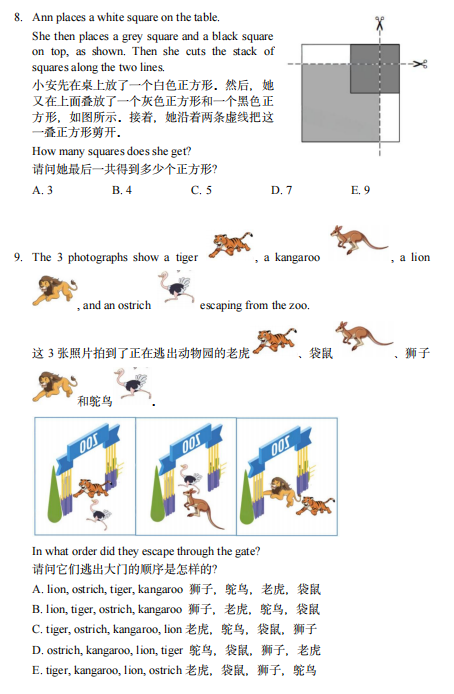 犀牛国际教育