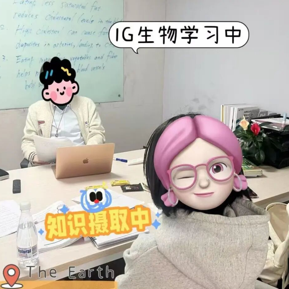 IG辅导